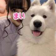 ヒメ日記 2025/09/02 09:13 投稿 舞 池袋角海老