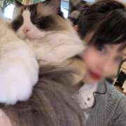 ヒメ日記 2026/02/04 18:24 投稿 舞 池袋角海老