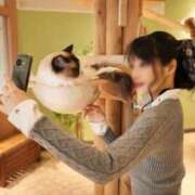 ヒメ日記 2026/02/17 12:03 投稿 舞 池袋角海老