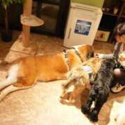 ヒメ日記 2026/02/27 19:13 投稿 舞 池袋角海老