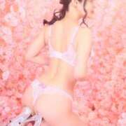 ヒメ日記 2026/04/11 09:23 投稿 舞 池袋角海老