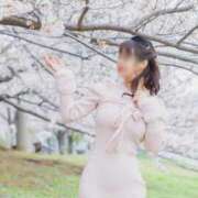 ヒメ日記 2026/04/17 10:33 投稿 舞 池袋角海老