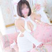 ヒメ日記 2025/10/09 10:27 投稿 ゆめ あとりえ(ATELIER)