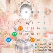 ヒメ日記 2025/11/04 16:31 投稿 ゆめ あとりえ(ATELIER)