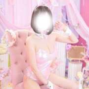 ヒメ日記 2025/11/21 10:12 投稿 ゆめ あとりえ(ATELIER)