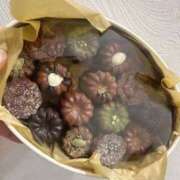 ヒメ日記 2026/01/29 15:34 投稿 きこ スピード梅田店