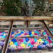 ヒメ日記 2025/08/29 13:56 投稿 桃瀬まみ 大人のエッチなエステ