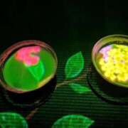 ヒメ日記 2026/03/31 16:25 投稿 桃瀬まみ 大人のエッチなエステ