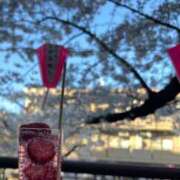 ヒメ日記 2026/04/04 19:00 投稿 桃瀬まみ 大人のエッチなエステ