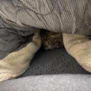 月城　ももか 【お礼写メ日記】 OLピンクコレクション