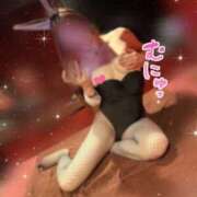 ヒメ日記 2025/11/25 20:30 投稿 イツキ【凛と艶めく月夜のバニー】 バニーコレクション 中洲店