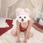 ヒメ日記 2025/07/19 05:51 投稿 なち【至高の快感と癒し】 Mode（モード）◆理想の彼女◆