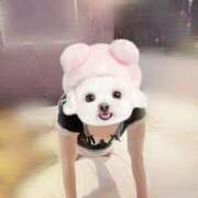 ヒメ日記 2025/07/19 21:21 投稿 なち【至高の快感と癒し】 Mode（モード）◆理想の彼女◆