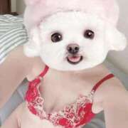 ヒメ日記 2025/09/24 19:01 投稿 なち【至高の快感と癒し】 Mode（モード）◆理想の彼女◆