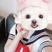 ヒメ日記 2025/11/18 17:01 投稿 なち【至高の快感と癒し】 Mode（モード）◆理想の彼女◆