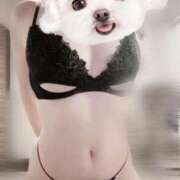 ヒメ日記 2025/11/21 11:21 投稿 なち【至高の快感と癒し】 Mode（モード）◆理想の彼女◆