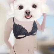 なち【至高の快感と癒し】 いっぱいいっぱいありがとう❤️ Mode（モード）◆理想の彼女◆