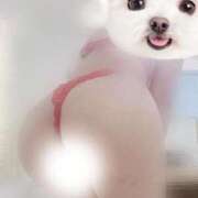 ヒメ日記 2025/12/06 14:51 投稿 なち【至高の快感と癒し】 Mode（モード）◆理想の彼女◆