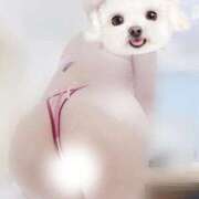 ヒメ日記 2025/12/10 22:01 投稿 なち【至高の快感と癒し】 Mode（モード）◆理想の彼女◆