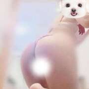 ヒメ日記 2025/12/14 19:51 投稿 なち【至高の快感と癒し】 Mode（モード）◆理想の彼女◆