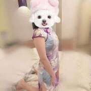 ヒメ日記 2025/12/27 17:21 投稿 なち【至高の快感と癒し】 Mode（モード）◆理想の彼女◆