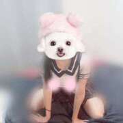 ヒメ日記 2026/02/26 22:51 投稿 なち【至高の快感と癒し】 Mode（モード）◆理想の彼女◆