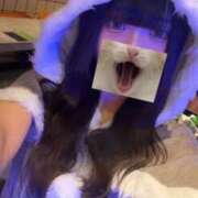 ヒメ日記 2025/06/17 18:21 投稿 ころね にゃんだ☆full☆MIX（にゃんだふるみっくす）