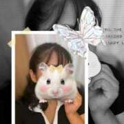 愛莉珠(ありす) [お題]from:答えは明日♪さん 相模原人妻城