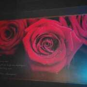 ヒメ日記 2025/07/31 21:07 投稿 ほたるNH 栃木♂風俗の神様宇都宮店