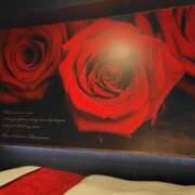 ヒメ日記 2025/08/24 12:08 投稿 ほたるNH 栃木♂風俗の神様宇都宮店