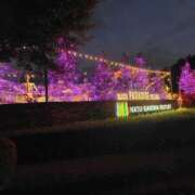 ヒメ日記 2025/10/24 16:17 投稿 ほたるNH 栃木♂風俗の神様宇都宮店