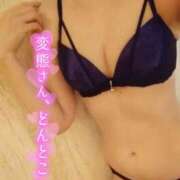 ヒメ日記 2025/12/29 15:30 投稿 奈々（なな） 元祖神戸Ｍ性感～Ｍ・ｉｎｇ～