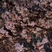 ヒメ日記 2026/03/31 18:03 投稿 奈々（なな） 元祖神戸Ｍ性感～Ｍ・ｉｎｇ～