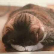 ヒメ日記 2025/07/06 10:46 投稿 ななせ 熟女デリヘル倶楽部