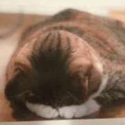 ヒメ日記 2025/09/10 11:34 投稿 ななせ 熟女デリヘル倶楽部