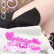 ヒメ日記 2025/09/27 04:58 投稿 らむ【シルバーアロー】 Arrows 苫小牧・千歳店