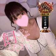 ヒメ日記 2025/09/23 12:02 投稿 まる One More奥様　横浜関内店