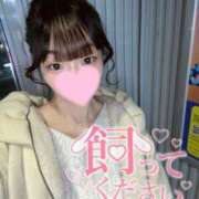 ヒメ日記 2025/12/13 20:03 投稿 まる One More奥様　横浜関内店