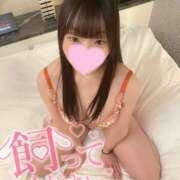 ヒメ日記 2025/12/14 21:23 投稿 まる One More奥様　横浜関内店