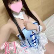 ヒメ日記 2026/02/17 12:01 投稿 まる One More奥様　横浜関内店