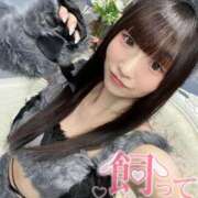 ヒメ日記 2026/02/21 03:18 投稿 まる One More奥様　横浜関内店