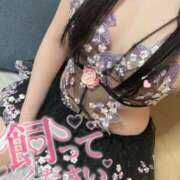 ヒメ日記 2026/04/13 13:54 投稿 まる One More奥様　横浜関内店