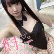 ヒメ日記 2026/05/23 23:31 投稿 まる One More奥様　横浜関内店