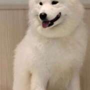 ヒメ日記 2025/12/13 13:56 投稿 しょう クリスタル