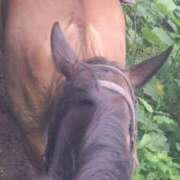 しょう 🏇💨 クリスタル