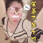 ヒメ日記 2025/12/29 22:38 投稿 月誘(つゆ) ハンドリング　亀頭責め専門店