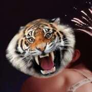 ヒメ日記 2025/12/31 22:05 投稿 月誘(つゆ) ハンドリング　亀頭責め専門店