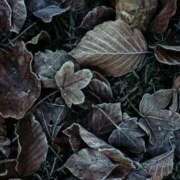 みづえ ❄️ 40代からのリアル鹿児島美熟女 REBORN リボン