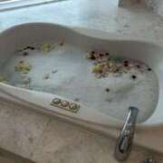 ヒメ日記 2025/06/26 17:04 投稿 有栖【ありす】 丸妻 西船橋店