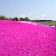 ヒメ日記 2025/06/27 17:09 投稿 有栖【ありす】 丸妻 西船橋店